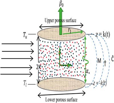 Coaxially swirled porous disks flow simultaneously induced by mixed convection with morphological effect of metallic/metallic oxide nanoparticles